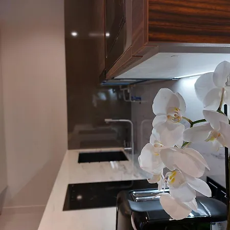 Liris Holiday Apartments Nazaré Zewnętrze zdjęcie